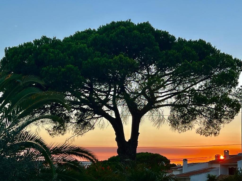 Vila De Sol セシンブラ エクステリア 写真